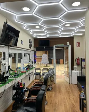 Ceiling Led Hexagonal Light