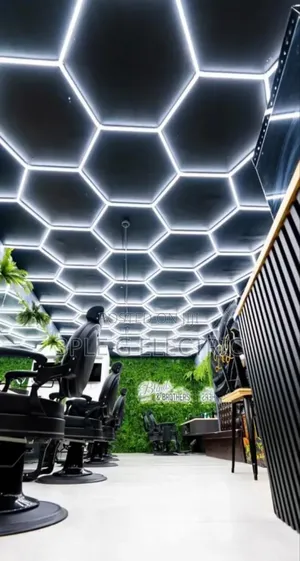 Standard Hexagon Ceiling Light