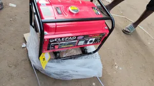 Elepaq Manual Start Generator
