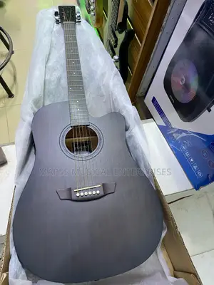 Strinberg Forest Fs4d Electro-Acoustic Guitar