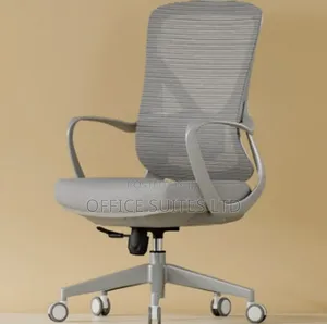 Grey Ergonomic Swivel Chair
