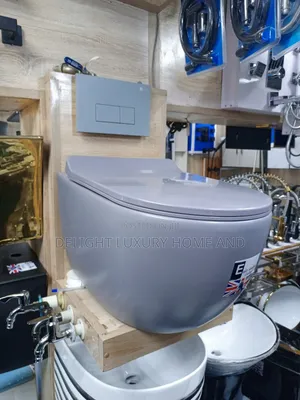 Conceal Wc Gray Color Wall Hong