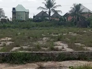 4 Shareable Plots at Obinze Behind White House