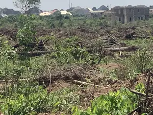 Plots of Land at Estate Army Estate at Obinze by Umuokanne Road
