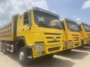2017 Howo Sinotruk Dump Truck 371 Engine