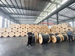 4mmx4core Amoured Cable