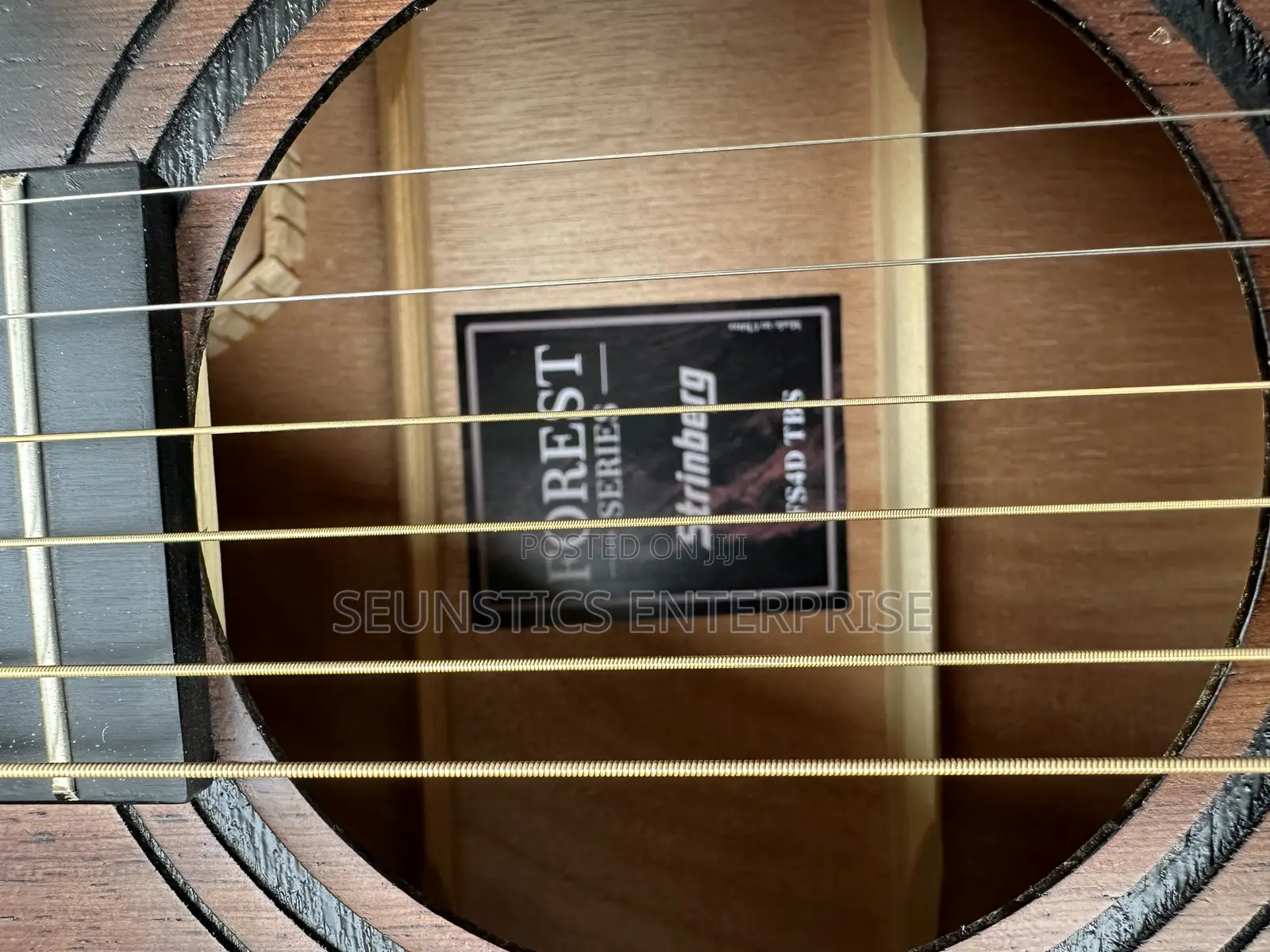 Quality Stringberg Electro Acoustic Guitar