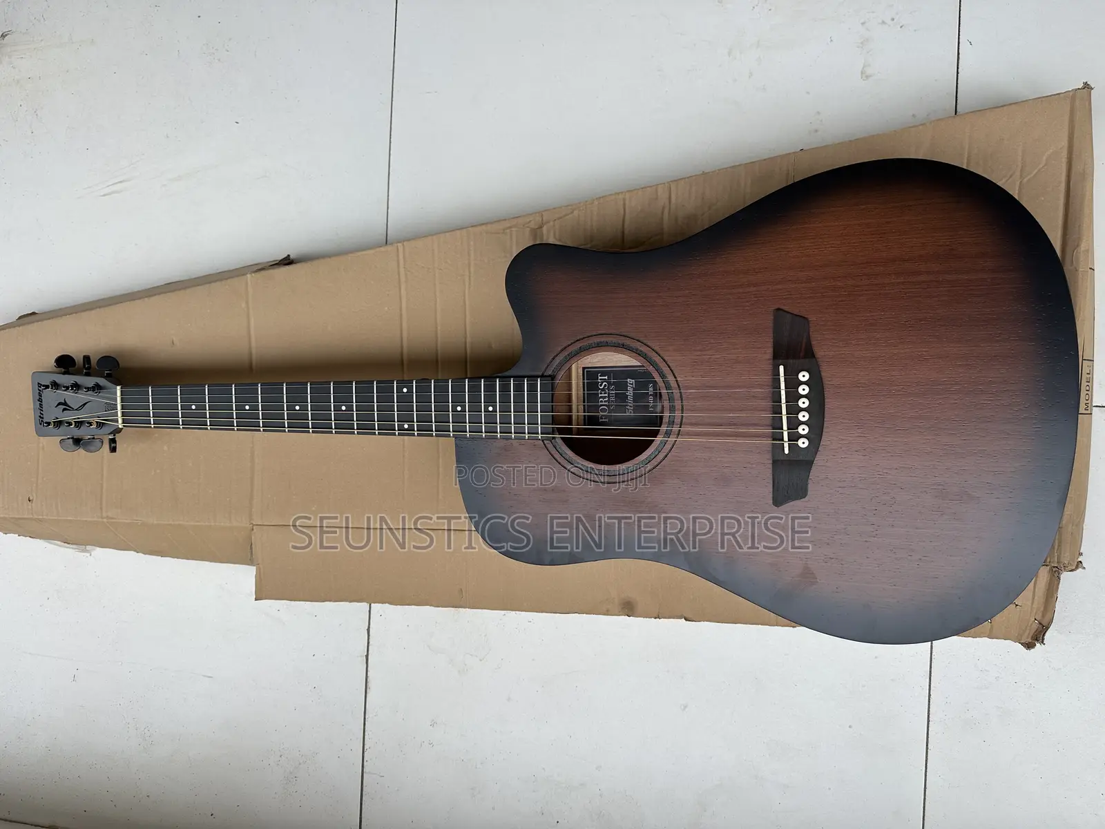 Quality Stringberg Electro Acoustic Guitar