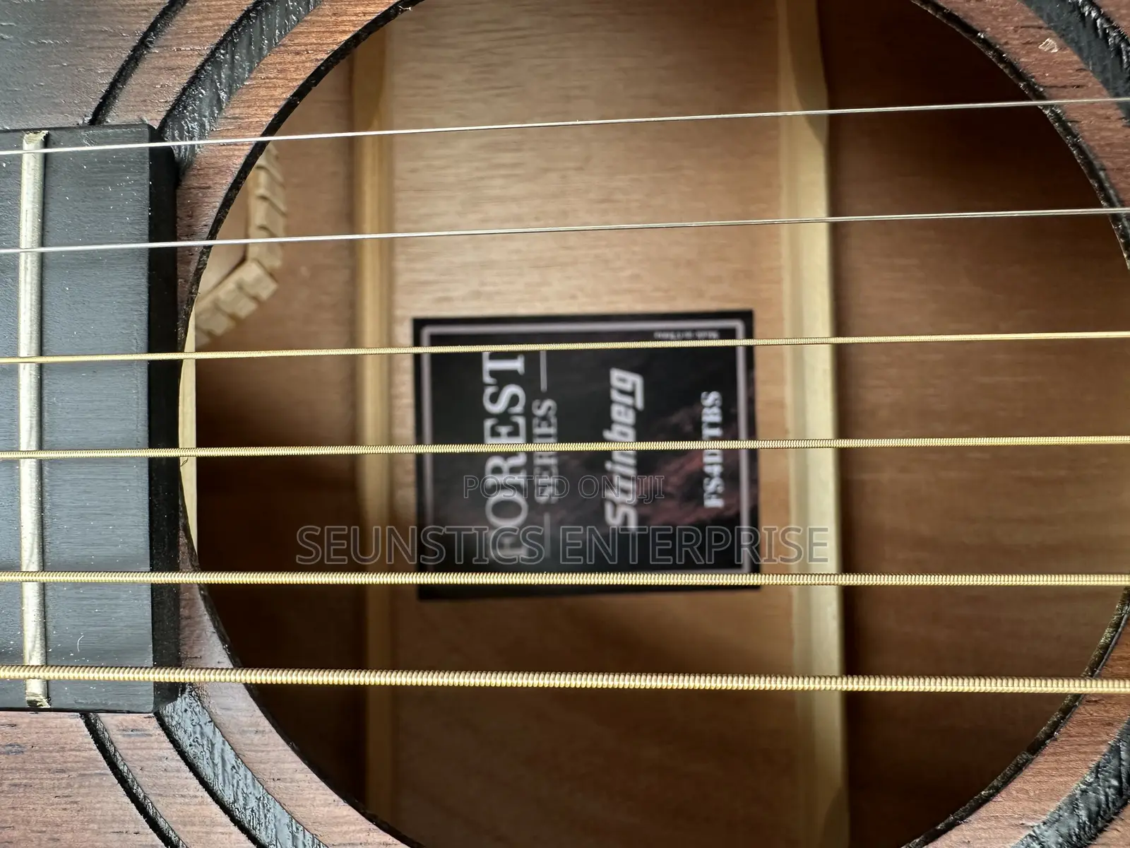 Quality Stringberg Electro Acoustic Guitar