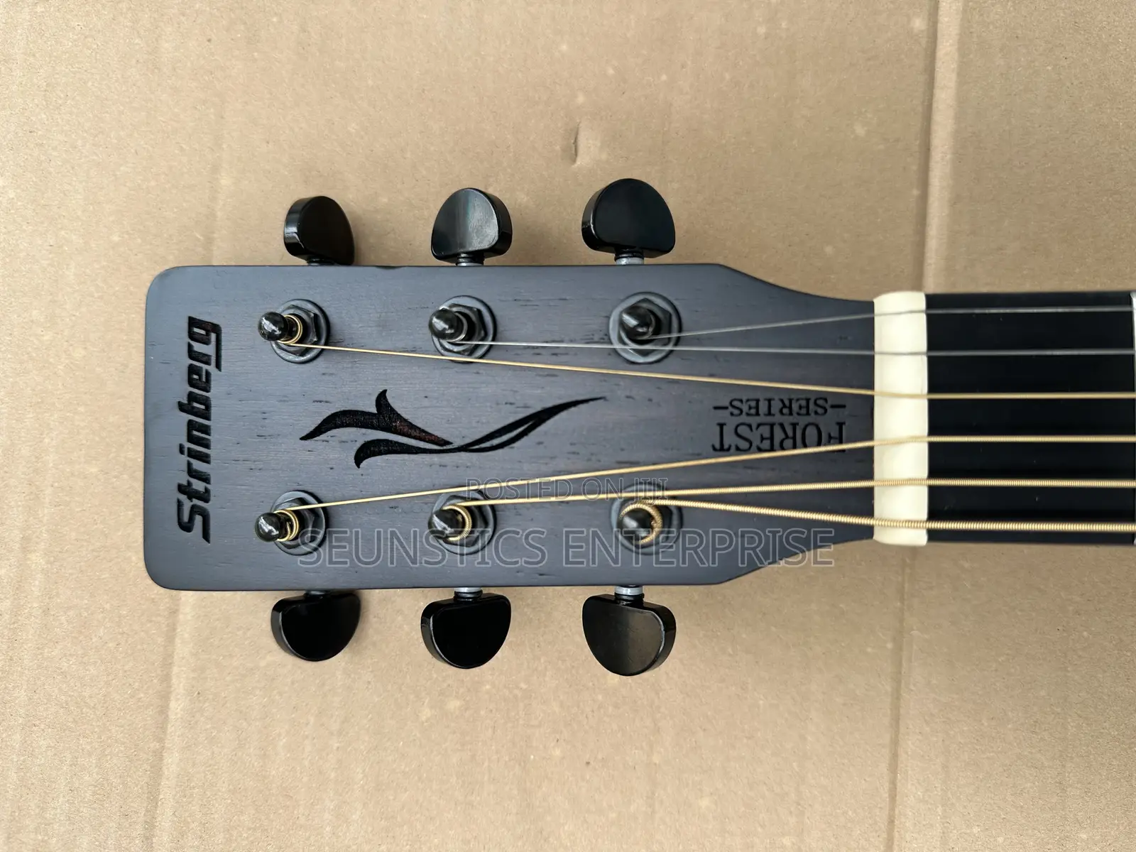 Quality Stringberg Electro Acoustic Guitar