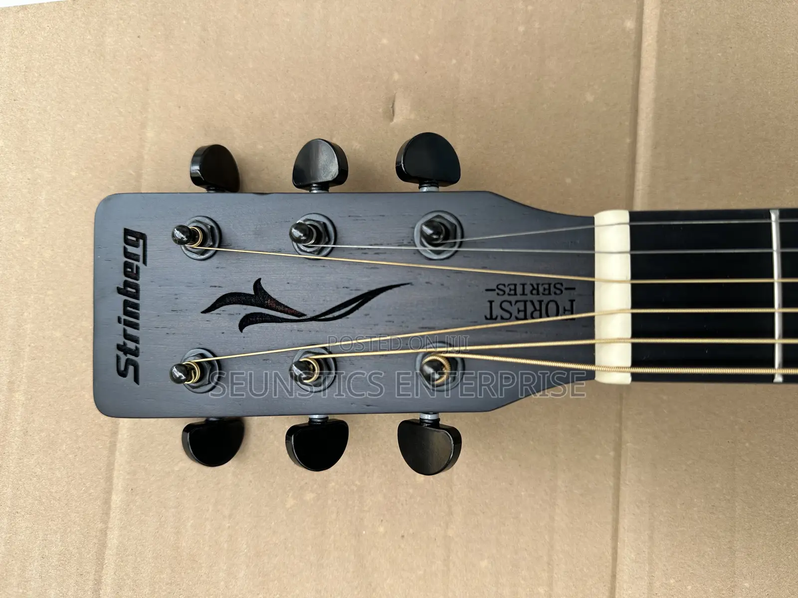 Quality Stringberg Electro Acoustic Guitar