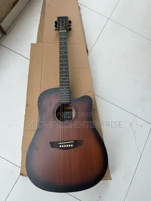 Quality Stringberg Electro Acoustic Guitar