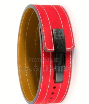 SBD Professional Powerlifting Belt Large/127cm-50.0in (Adjustable) Red