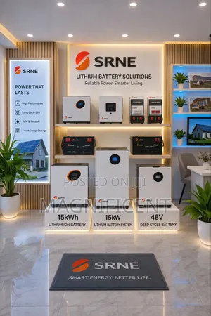 Premium 15kwh Srne Lithium Battery System (48v) High Performance Solar