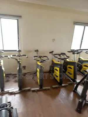 Professional Stationary Bike