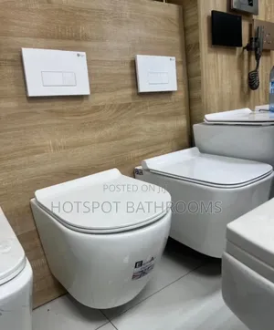 Quality Concealed Wc Set