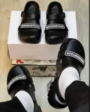 Birkenstock Clogs