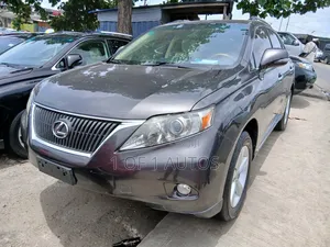 Lexus RX 350 2010 Gray