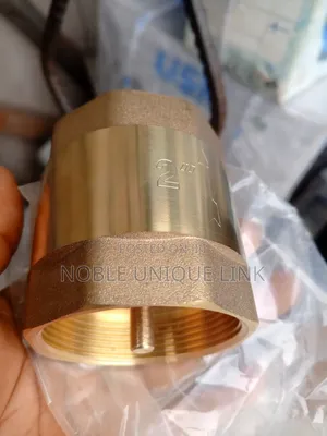 Non Return Valve