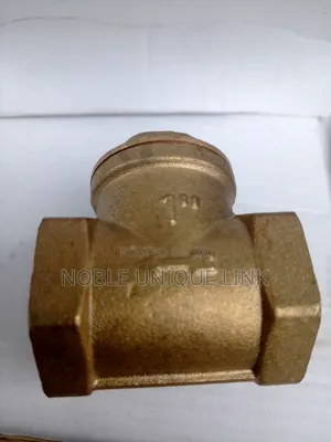Non Return Valve