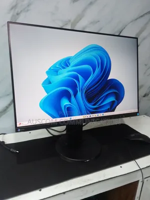 Eizo 24 Inches 1920x1200 Ips 16:10 Ratio 60hz Inbuilt Speakers