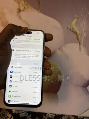 Apple iPhone 14 Pro Max 256 GB Blue