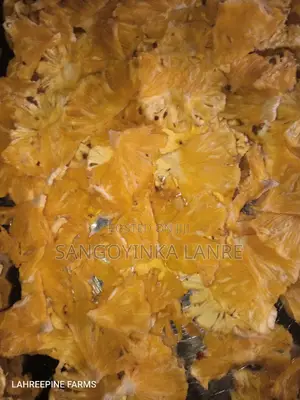 Dried Pineapple (Lahreepine Farms)