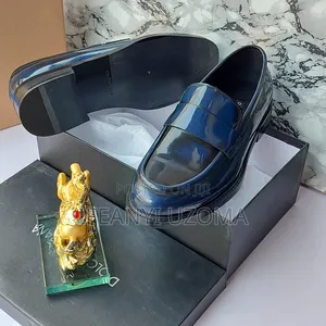 Luxury Designer Blue Color Shoe