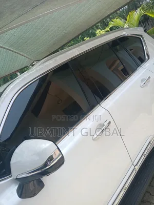 Ceramic Tint