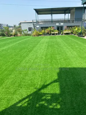 Artificial Grass Carpet