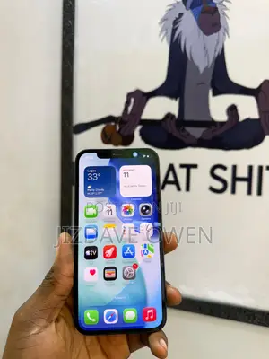Apple iPhone 12 64 GB Black