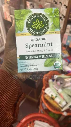 Traditional Medicinal Organic Spearmint Tea 16 Tea Bags