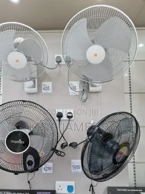 Electric Wall Fan