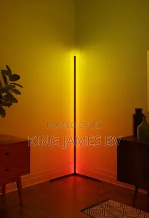 RGB Floor Lamp