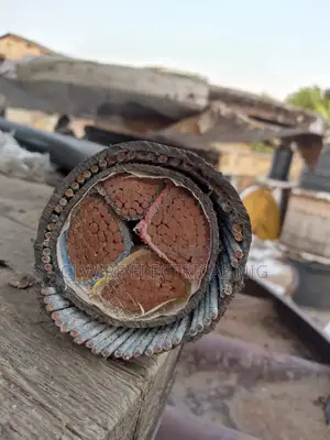 300mm 4core Armored Cable Full Gauge