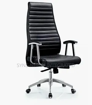 Executive Director's Office Chair