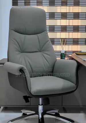 Luxury Executive Office Chair for Md's.