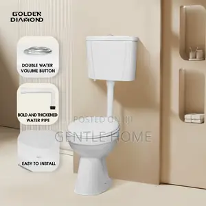 Hanging Water Closet