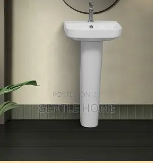 Portable Basin and Pedestal