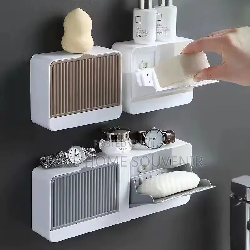 Double Soap Case