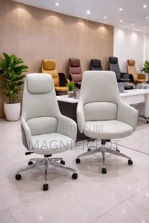 Premium Executive Office Chair Showroom Display