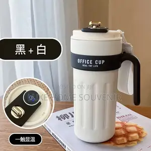 Temperature Mug