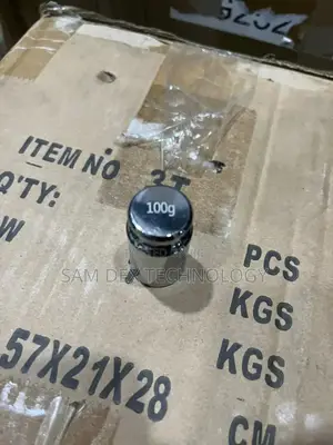 100g Stainless Test Weight