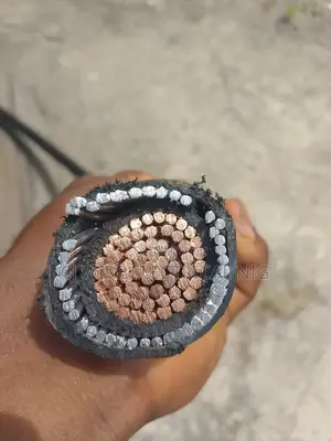 300mm Single Core Armored Cable