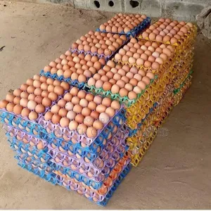 Fresh Eggs