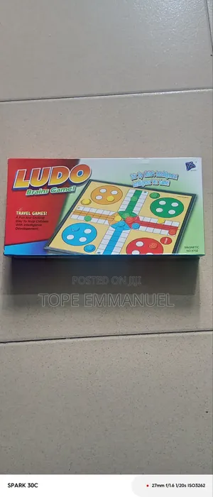 Magnetic Ludo Brains Game