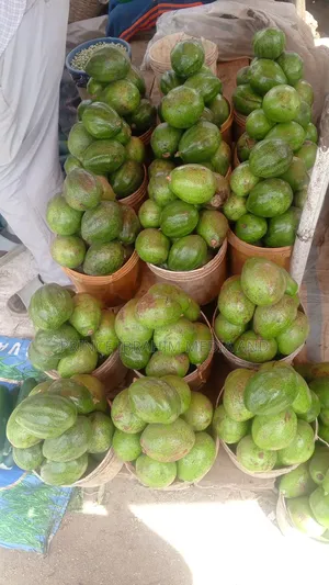 Fresh Avocado
