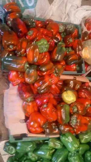 Fresh Bell Pepper