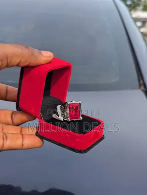 Ski Steel Silver Red Men's Punk Ring