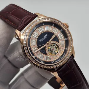 Devilous Genuine Leather Luxury Authomatic Men's Wristwatches